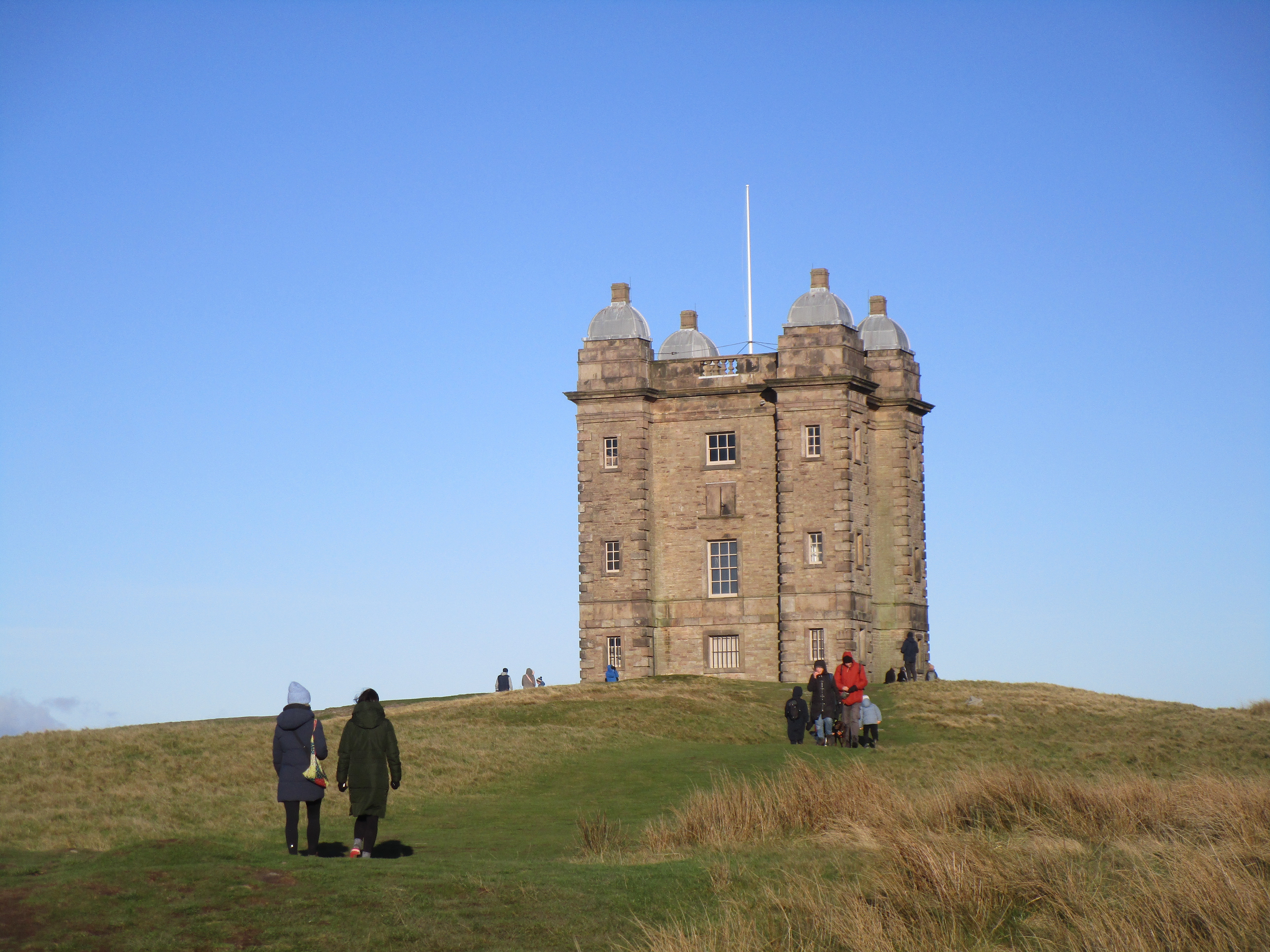 Lyme Cage - Dec 2025