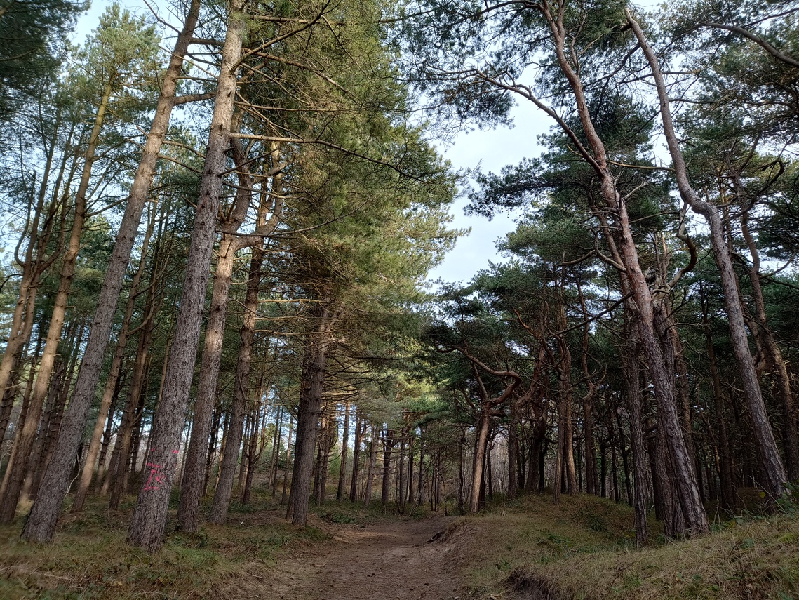 Cypriot vs Scots at Formby