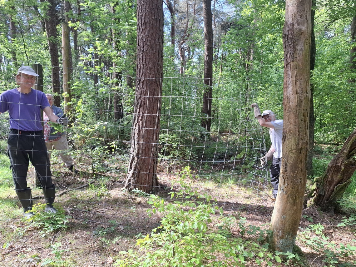 Working with Fencing @ Lyme - May 2025
